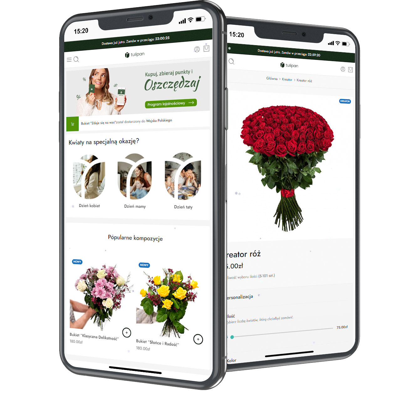 mockup web 1